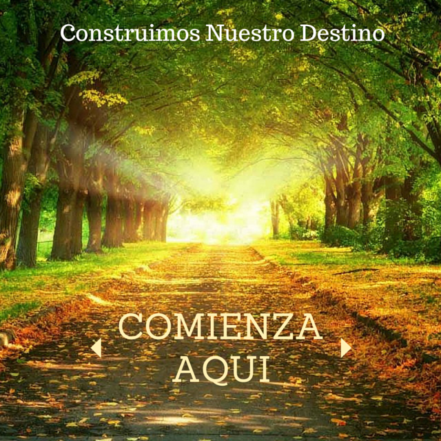 Que-es-melaleuca
