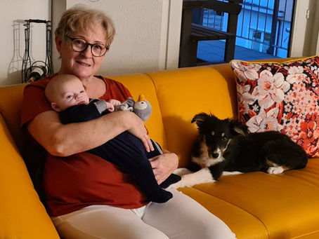 Avis adoptants