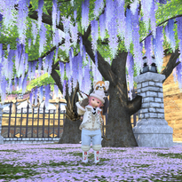 ffxiv_20220816_105259_595.png