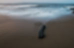 IMG_1206-02.jpeg