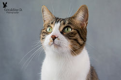 Géraldine Doublet Photographe