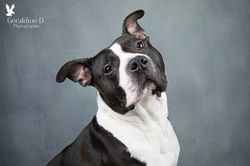 Géraldine Doublet Photographe