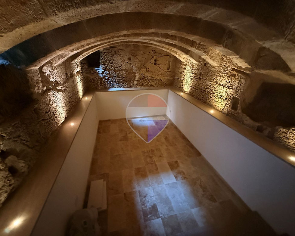 Thumbnail: ZEBBUG - House of Character