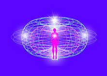 Human Torus energy field