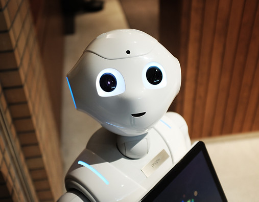 Robot