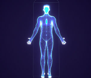 Full Body Scan Image