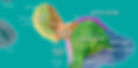 ree