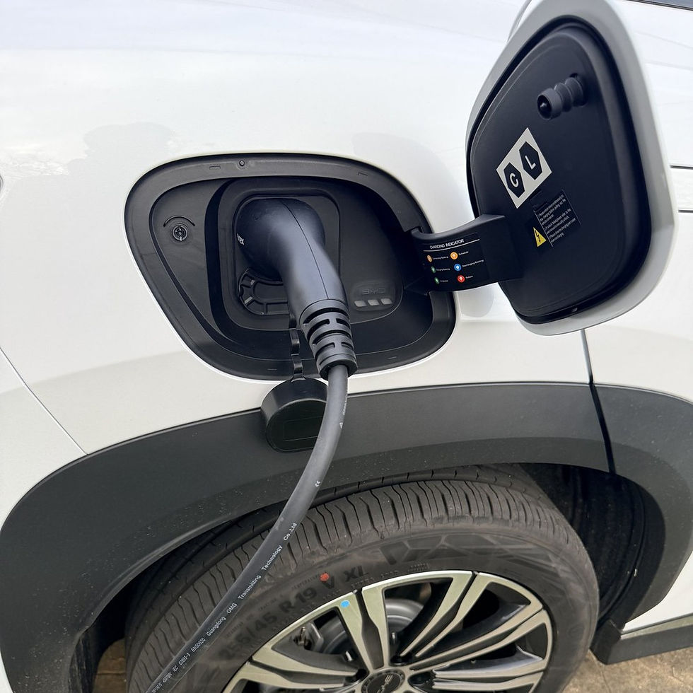 Tethered Type 2 connector plugged into the charge port of a BYD Sealion 7.