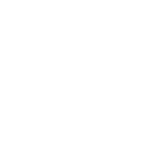 ICON 017.png