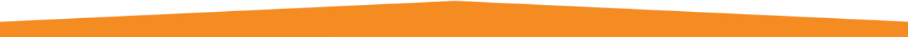 BG 01 orange.png