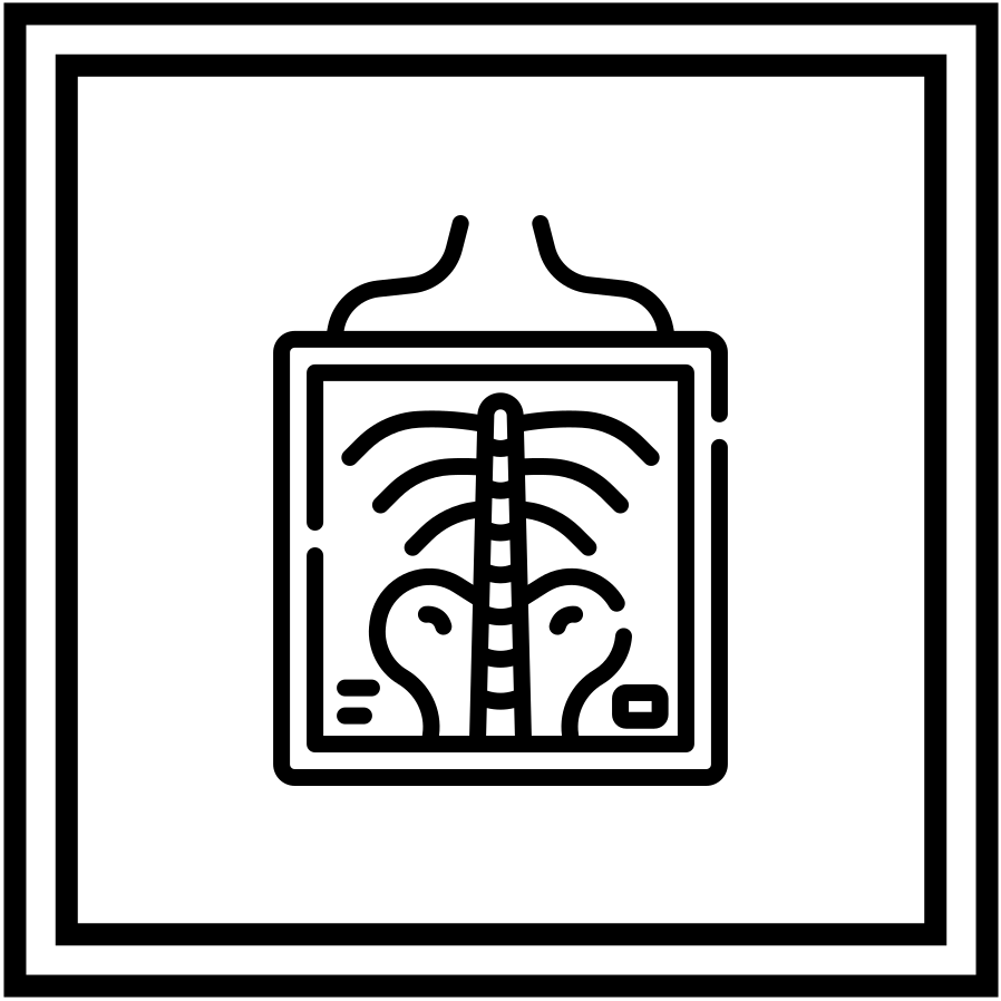 5 002-x-rays.png