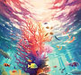 CoralWeb2.jpg