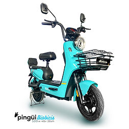 Pingui2026BiobicisFalabella.jpg