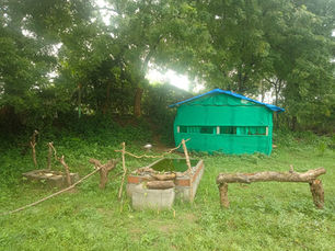 Morning at a Birder's Hideout