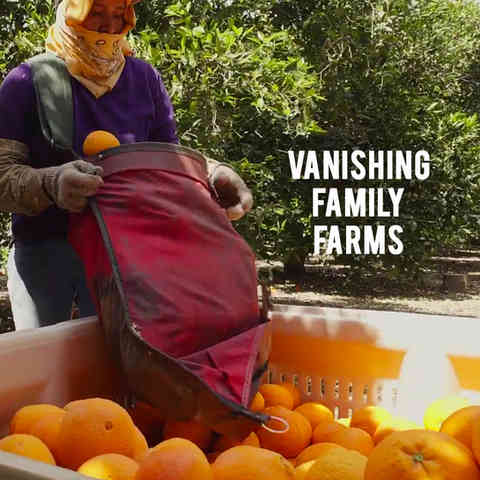 American Grown: My Job Depends on Ag - Vanishing Family Farms