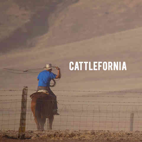 American Grown: My Job Depends on Ag - Cattlefornia