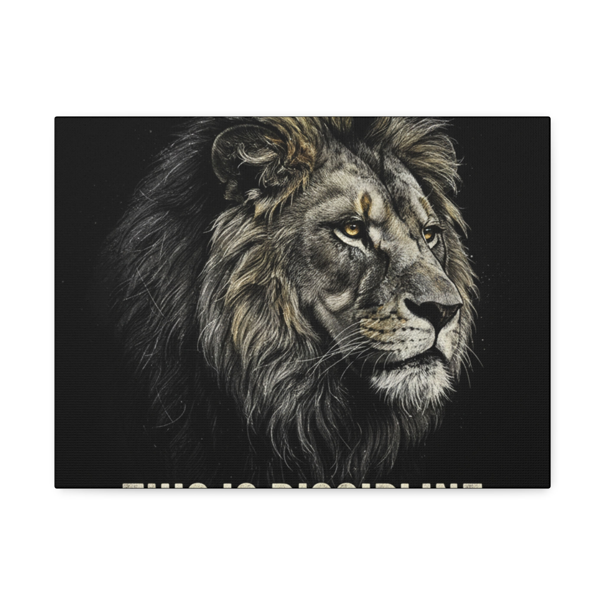Lion Canvas Print – This is Discipline