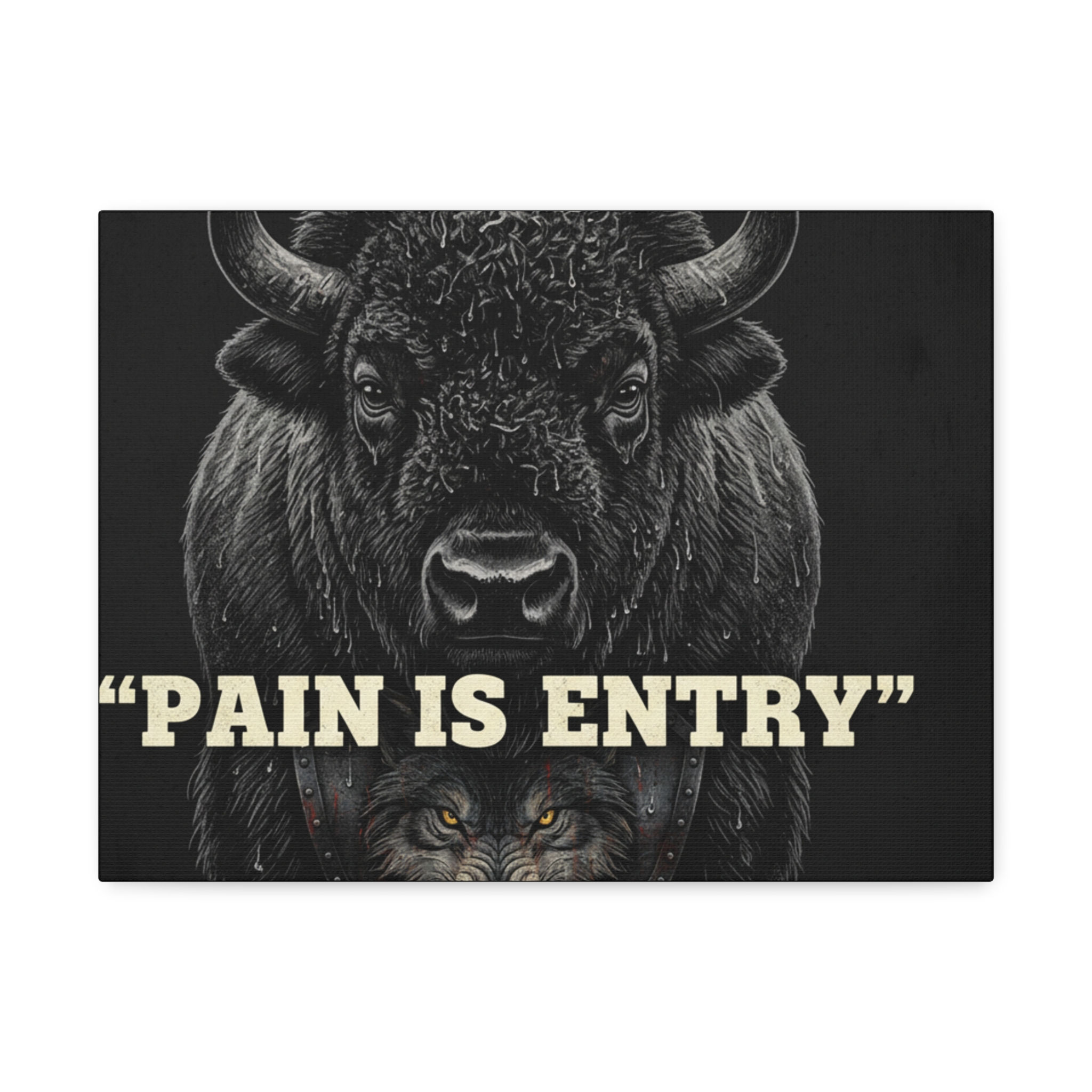 Bison Canvas Print – Pain is Entry