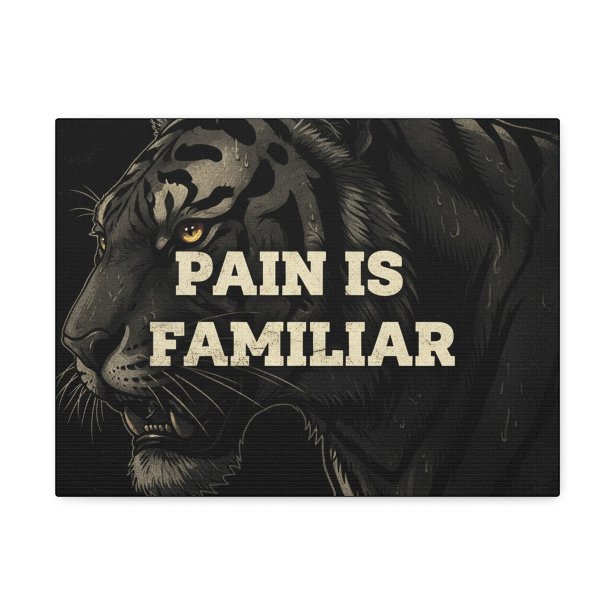 Tiger Canvas Print – Pain is Familiar