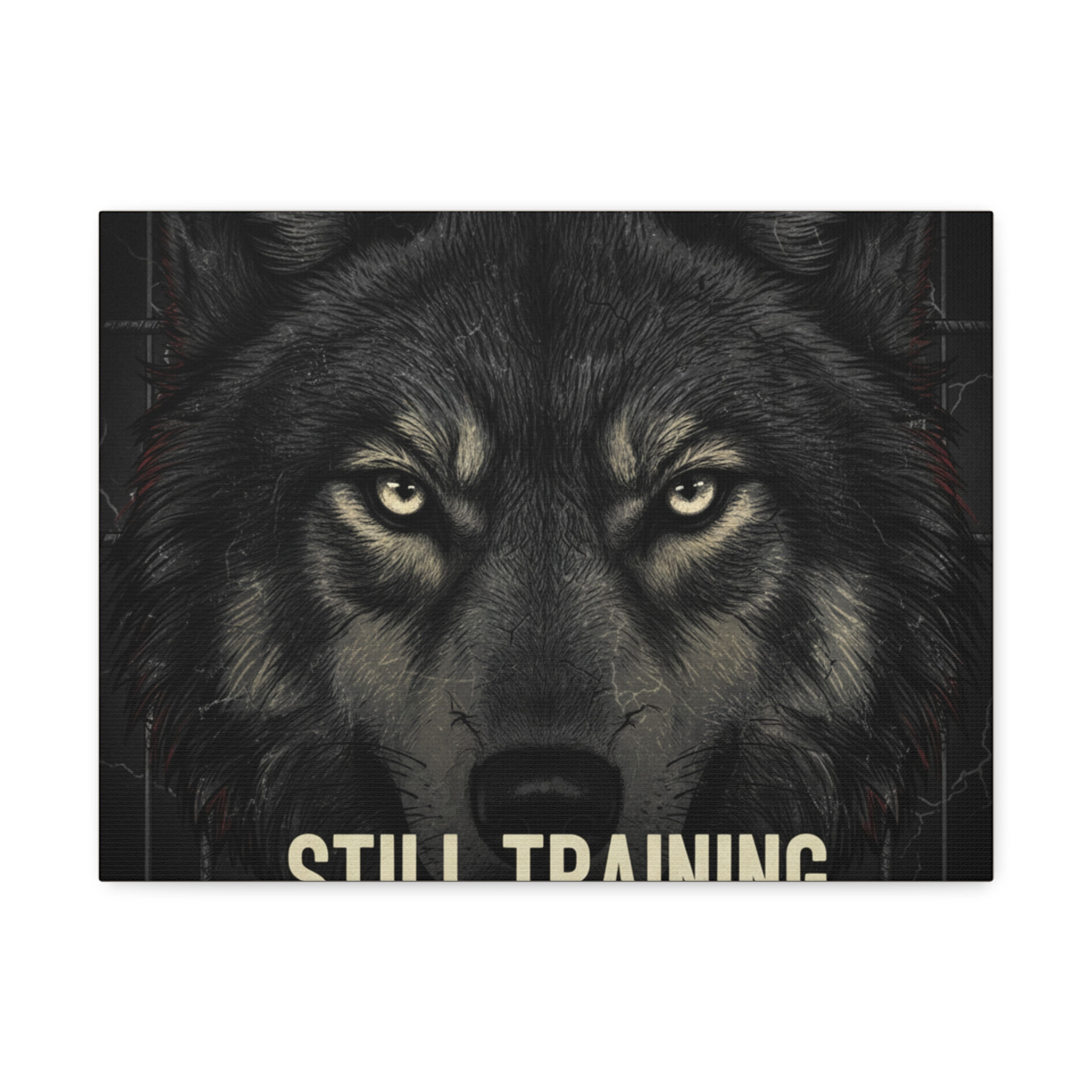 Wolf Canvas Print – Still Training