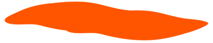 mancha.png