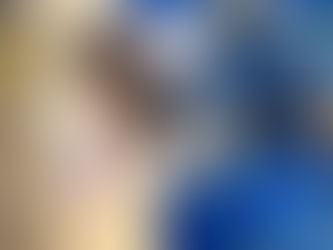 Bringing Families Together: Wordless Picture Books to Support Home Language Use 