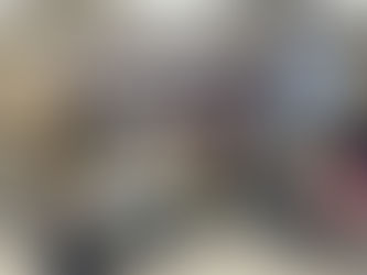 Developing a Culturally and Linguistically Responsive School: Professional Development to Highlight Assets ELs Bring to the Classroom