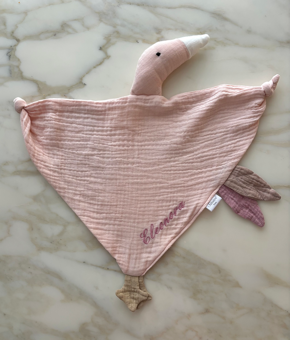 Miniature : Doudou canard