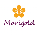 new_logo.png