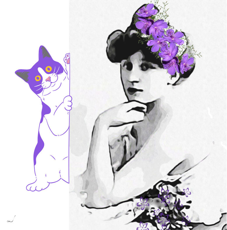 איור של קולט והחתול: עליזה גוטמן