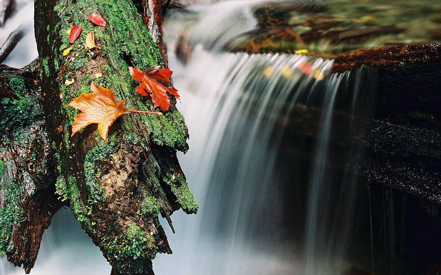 Qt Stream in autumn6x9.jpg