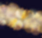 5146561_2717561_edited_edited.jpg