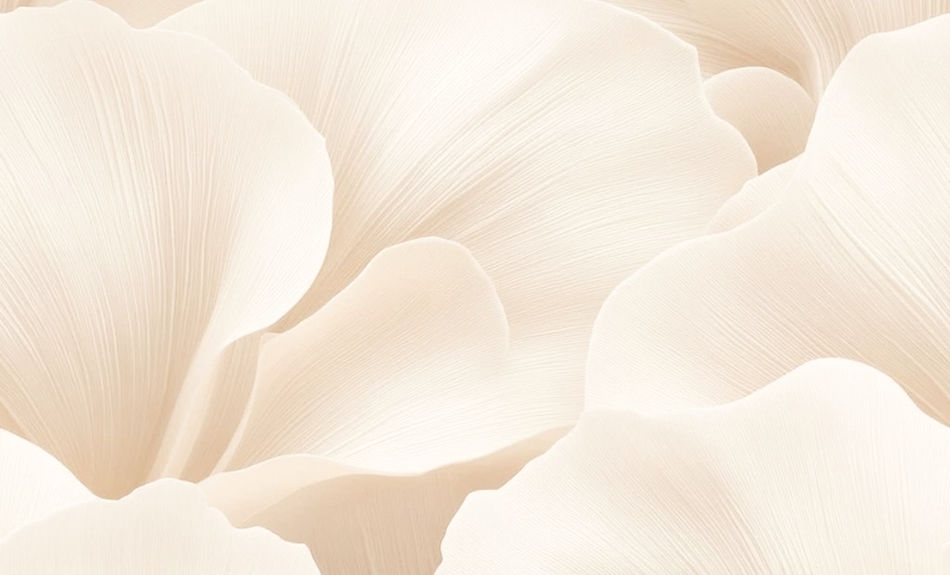 soft, neutral, ivory petals