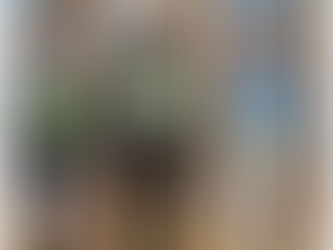 Wyniki konkursu "Ulubiony bohater książkowy"