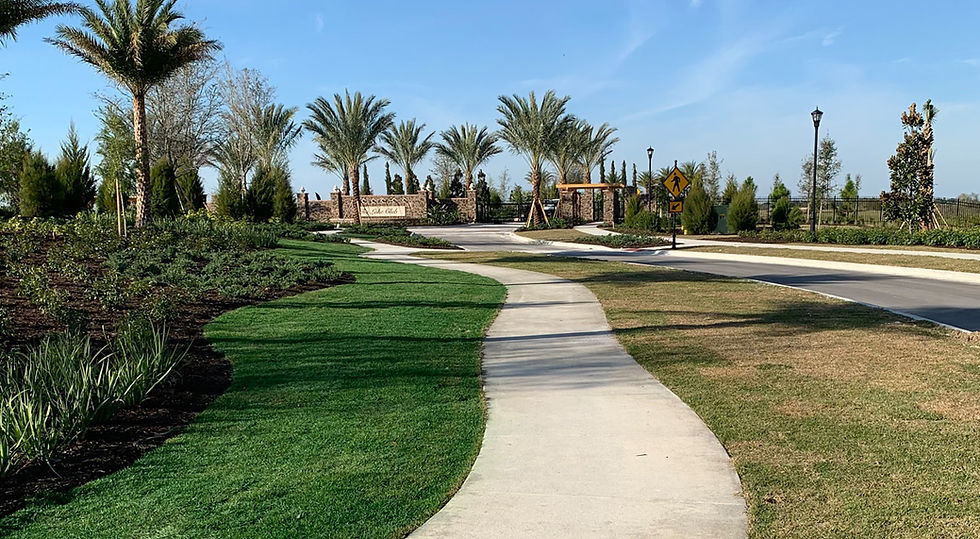 turf-paint-hoa-before-and-after