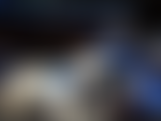 🐕🦺A dog earns a college degree after accompanying his crippled owner throughout her school years