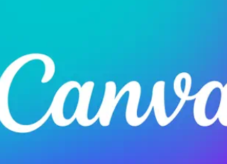 The remarkable story of Canva; tale of persistence, innovation, and resilience.