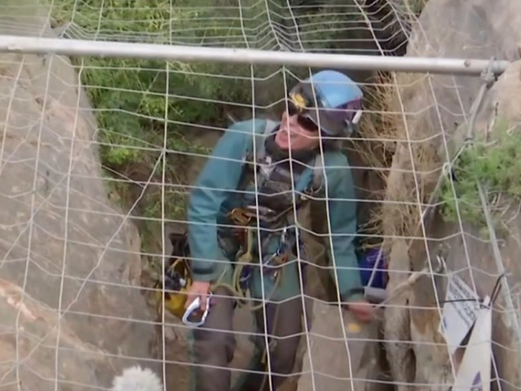 Beatriz Flamini: Athlete emerges from cave after 500 days