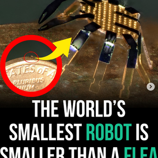 E-Crab? The smallest AI Robot !! from Northwestern University