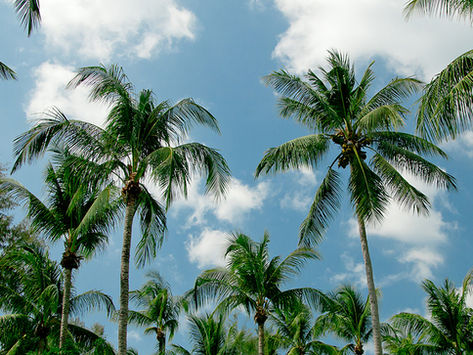 Psalm Beach