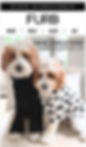 A9F79FA7-F811-48CA-A912-425B8A996A65.jpeg