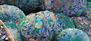 Waste Management