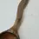 Thumbnail: Blued oak left handed cremation spoon.