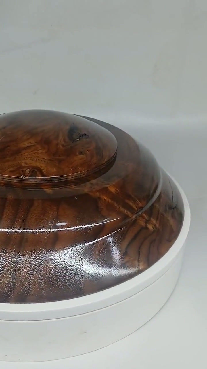 Thumbnail: Wall Mounted Black Walnut Burl Saucer Cremation Urn