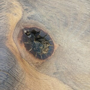 Thumbnail: Blued Oak Bowl