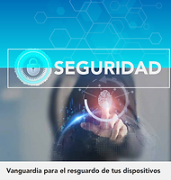 SEGURIDAD_002.png