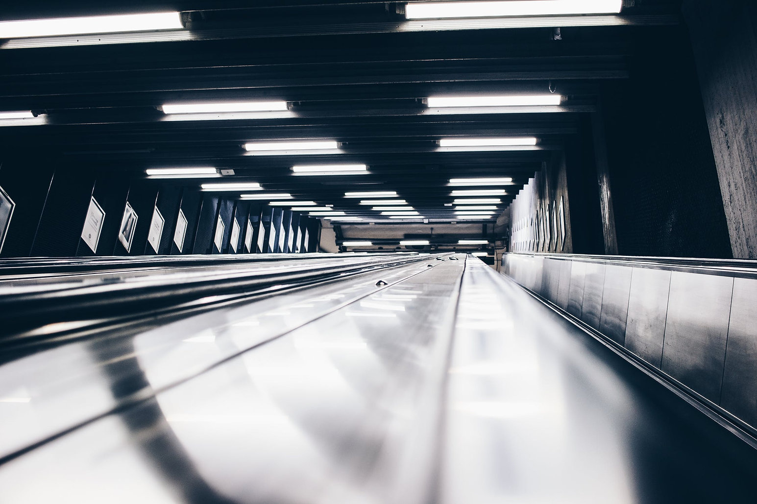 pexels-photo-1529033.jpeg