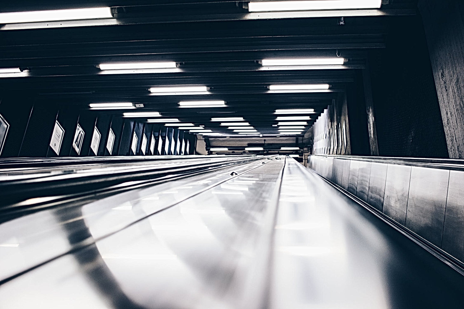 pexels-photo-1529033.jpeg