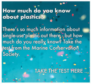 dpc_education_plastic_howmuchdoyouknow.jpeg