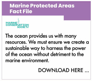 dpc_factfile_marineprotect.jpeg